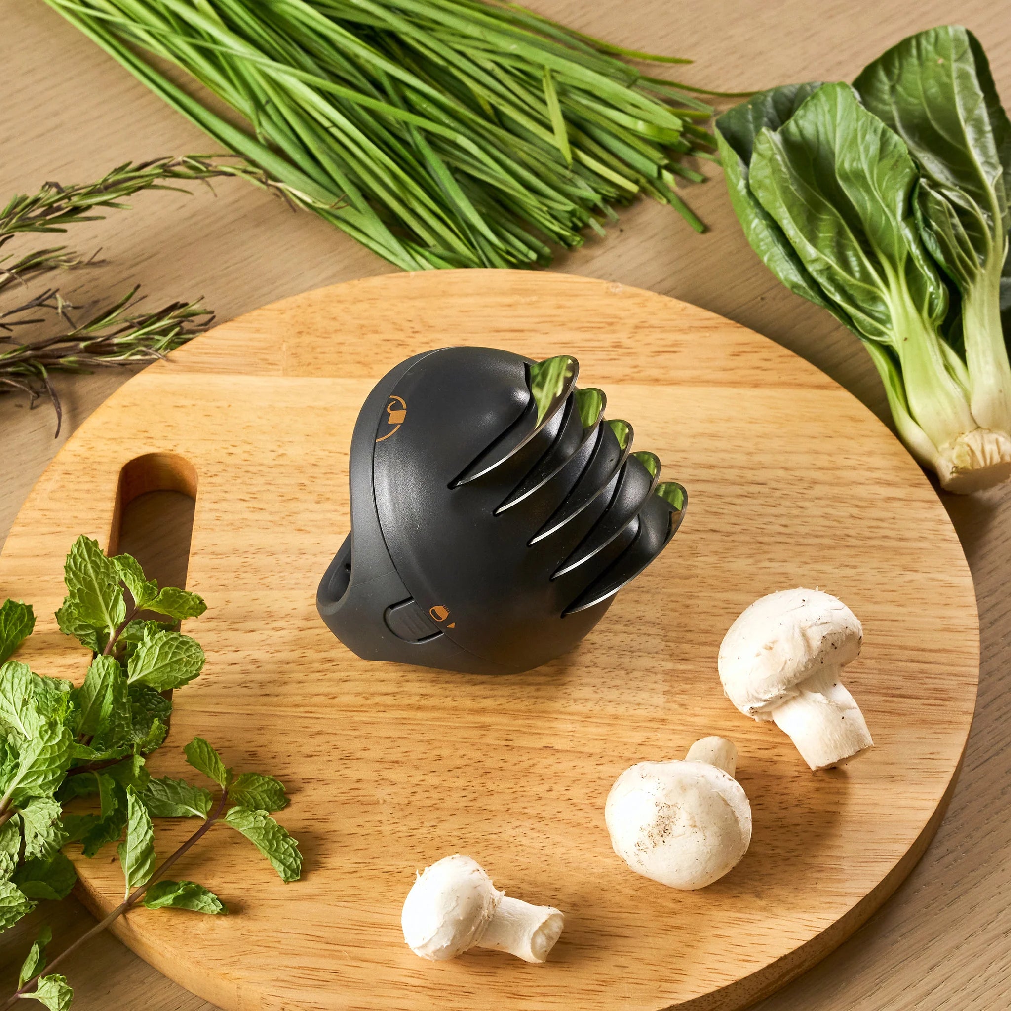 Zyliss Fast Cut Herb Tool