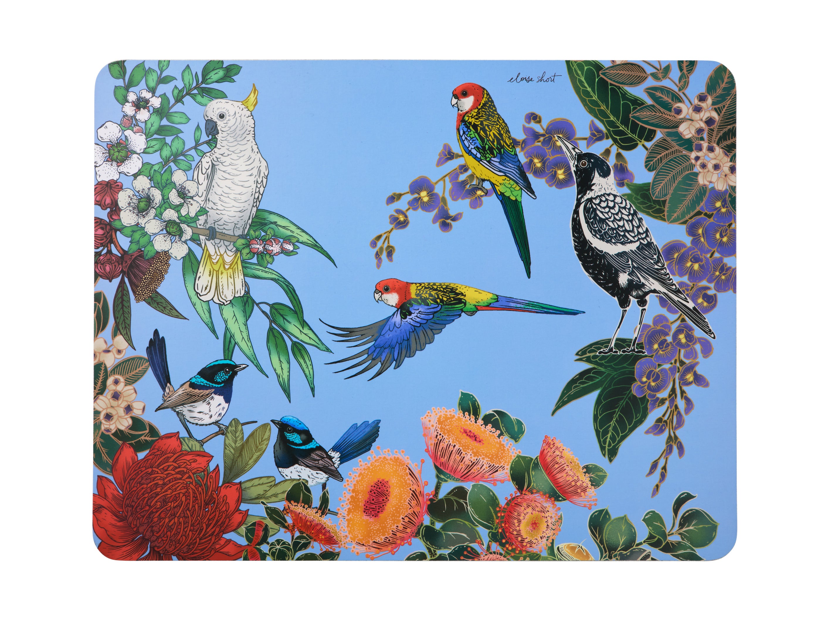 Maxwell & Williams Eloise Short Native Grace Cork Back Placemats 34x26.5cm Set of 4 Gift Boxed