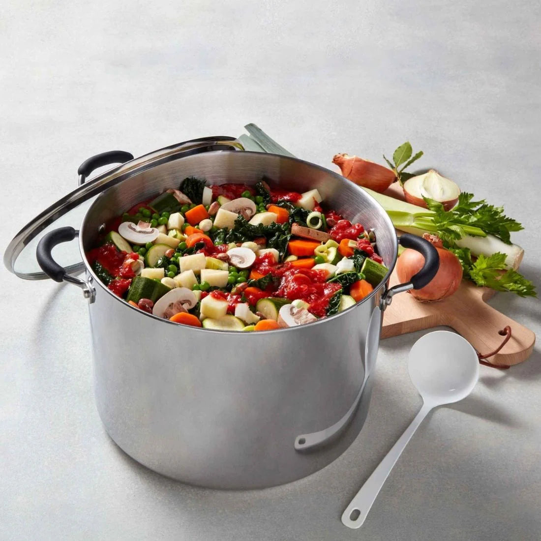 RACO Contemporary 26cm/9.5L Stainless Steel Covered Stockpot