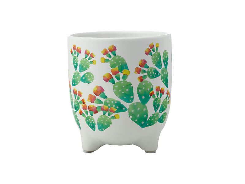 Maxwell & Williams Royal Botanic Garden - Arid Garden Planter Pot 14cm - Prickly Pear