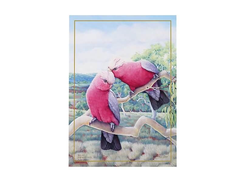 Maxwell & Williams Birds of Australia 10YR Anniversary Tea Towel 50x70cm Galah