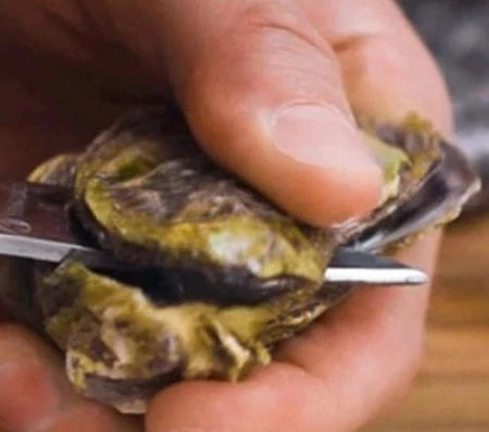Laguiole by Andre Verdier Oyster Knife With Guard 3mm - Black